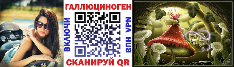 Галлюциногенные грибы Psilocybe купить наркоту мега зеркало Навашино